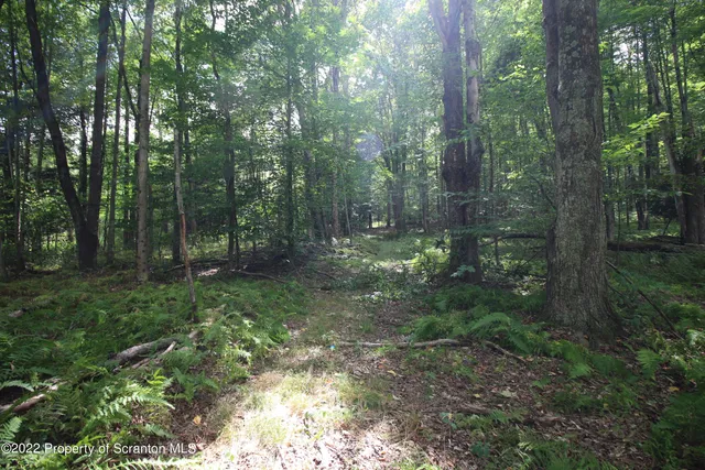 a view of outdoor space and green space