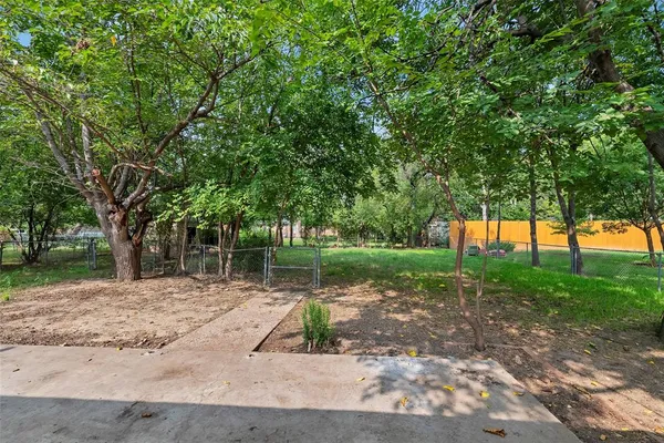 a wooden bench with tree in the background