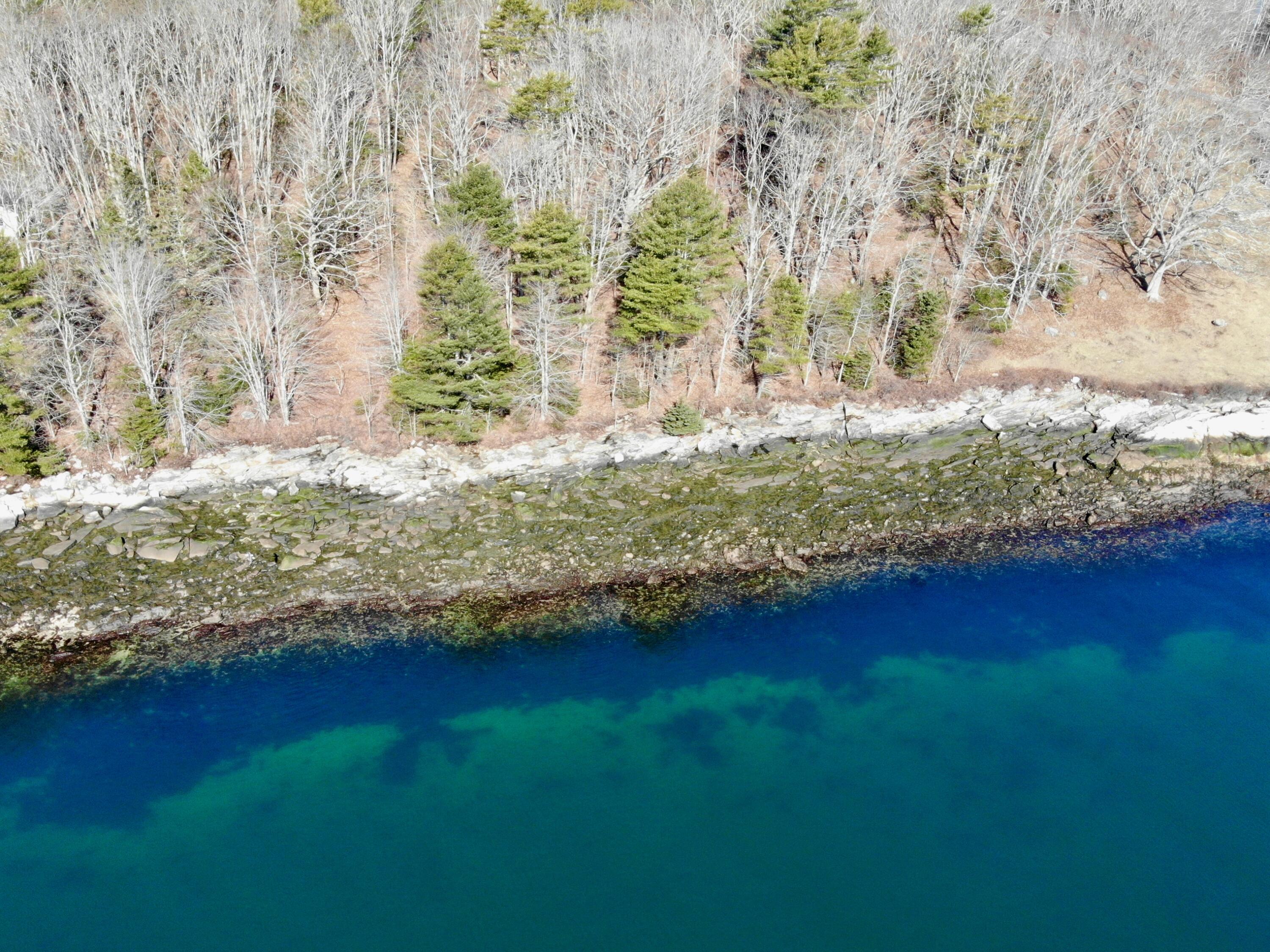 Lot 2 Churches Point Road Round Pond, ME 04564 - Photo 5 of 23 DJI_0659