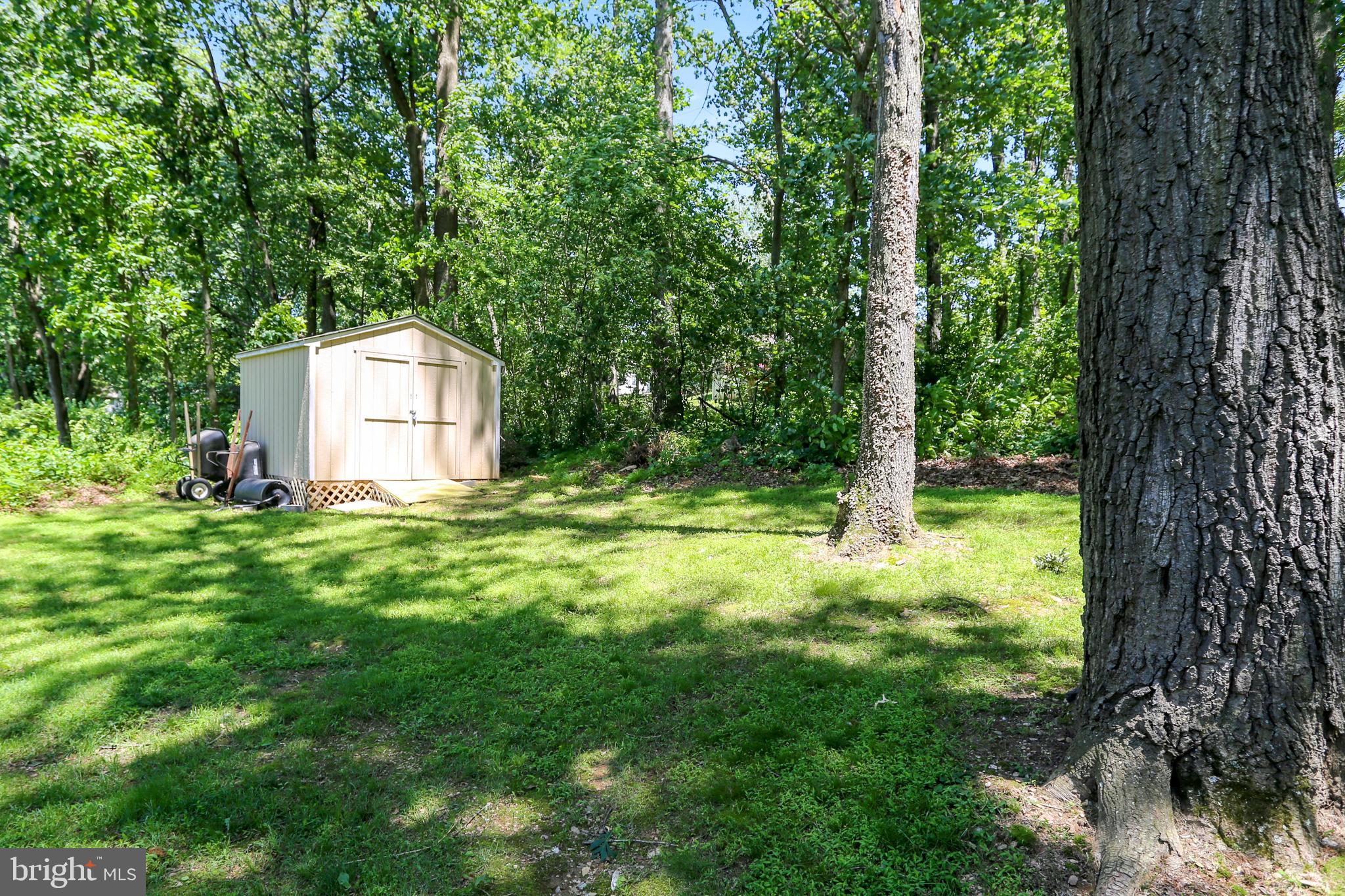 4225 Bartholows Road Mount Airy, MD 21771 - Photo 55 of 61 Shed in Rear Yard