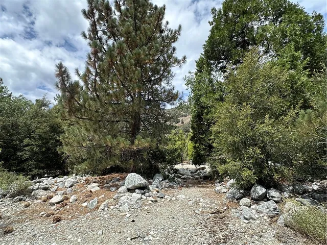 a view of a yard with a tree