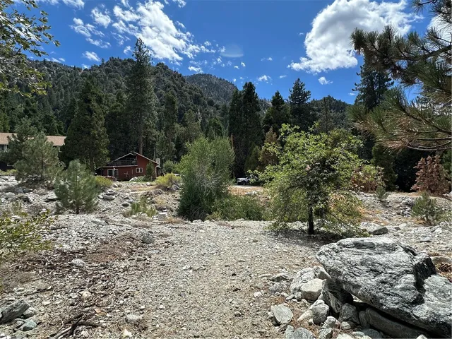 a view of a covered with trees