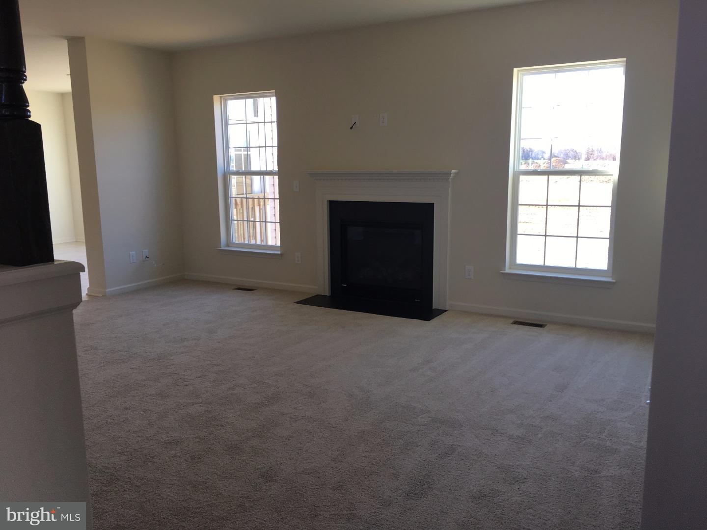 202 Edgar Road Townsend, DE 19734 - Photo 5 of 13 Fireplace