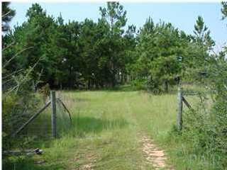 9284 Hay Meadow Road Milton, FL 32583 - Photo 1 of 4 Gallery Image 1