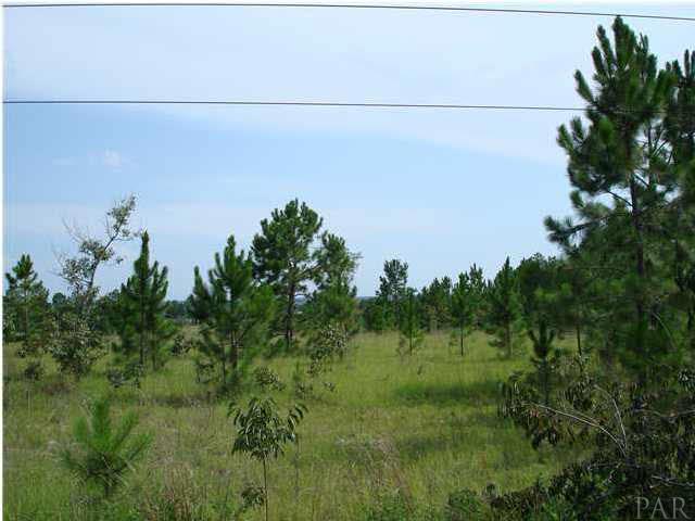 9284 Hay Meadow Road Milton, FL 32583 - Photo 2 of 4 Gallery Image 2