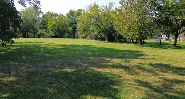 a view of a park with large trees