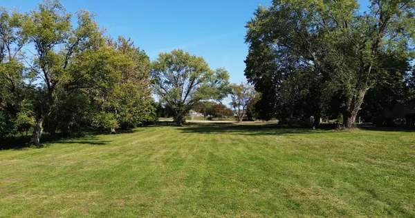 a view of a field with trees in the background