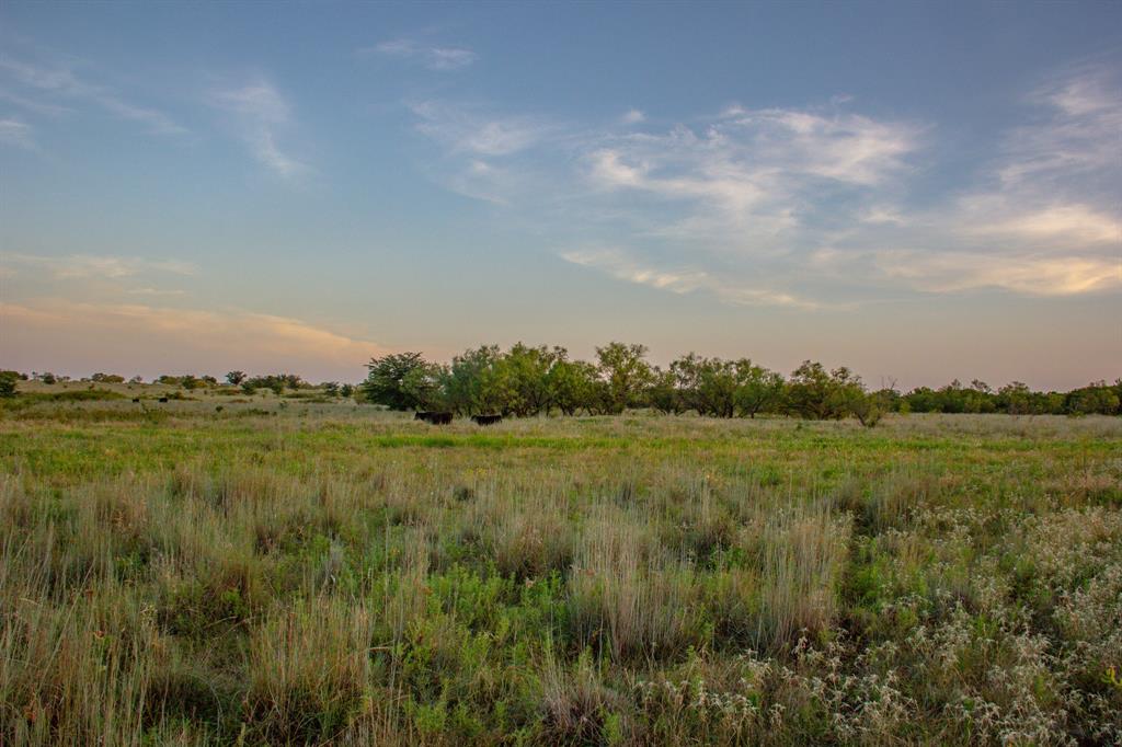 Tbd Gilbert Road Nocona, TX 76255 - Photo 13 of 40 a view of a lush green outdoor space with a lake view and trees