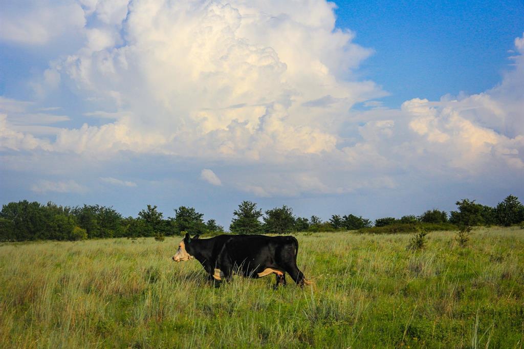 Tbd Gilbert Road Nocona, TX 76255 - Photo 20 of 40 a view of a lake with a yard