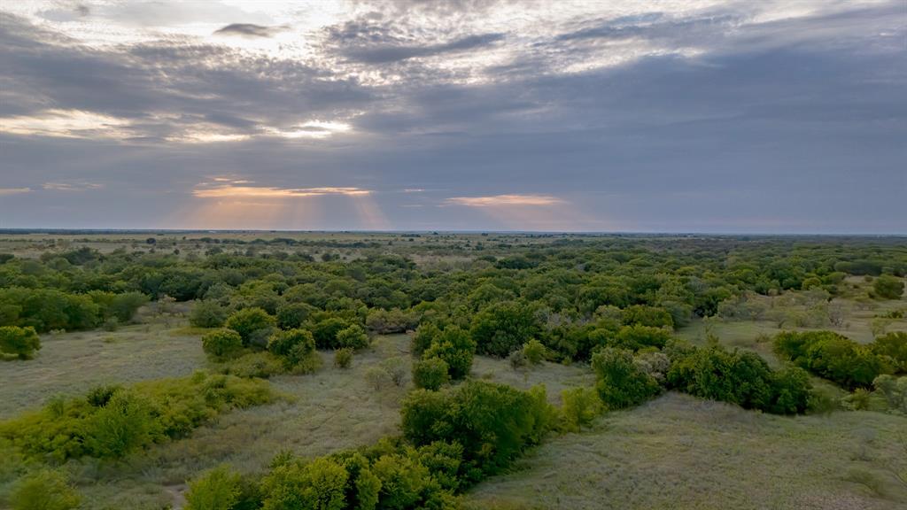 Tbd Gilbert Road Nocona, TX 76255 - Photo 33 of 40 a view of a bunch of trees in a field
