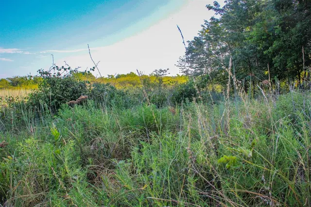 $8,806,000 | Tbd Gilbert Road, Nocona, TX 76255