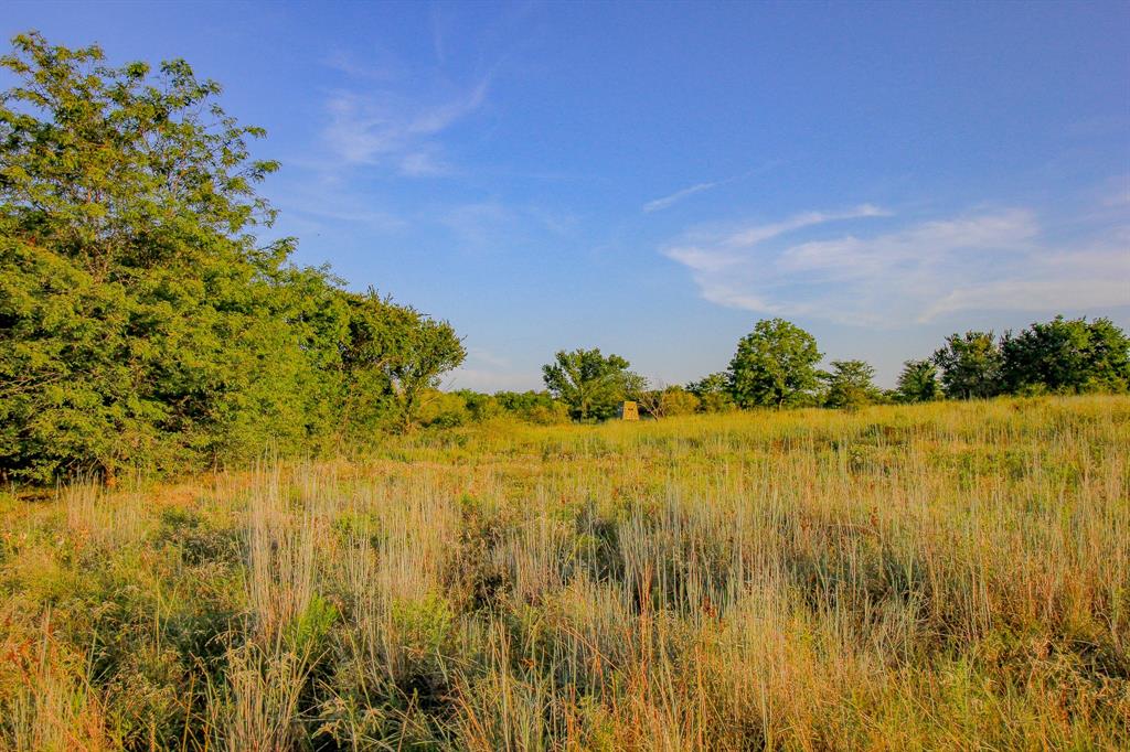 Tbd Gilbert Road Nocona, TX 76255 - Photo 5 of 40 a view of a lake view
