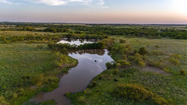 a view of a dry yard with wooden fence