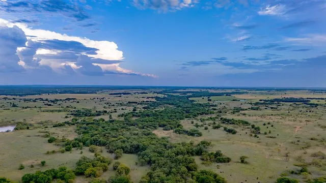 a view of a lush green outdoor space with a lake view and trees