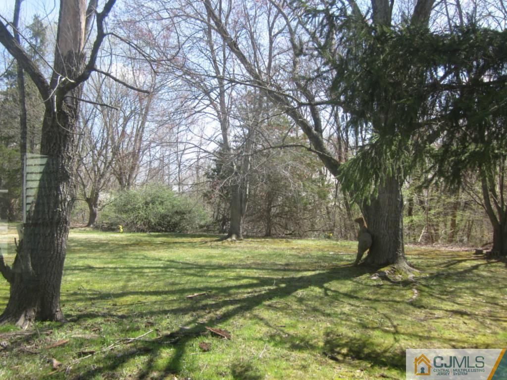17 University Road East Brunswick, NJ 08816 - Photo 4 of 24 Gallery Image 4