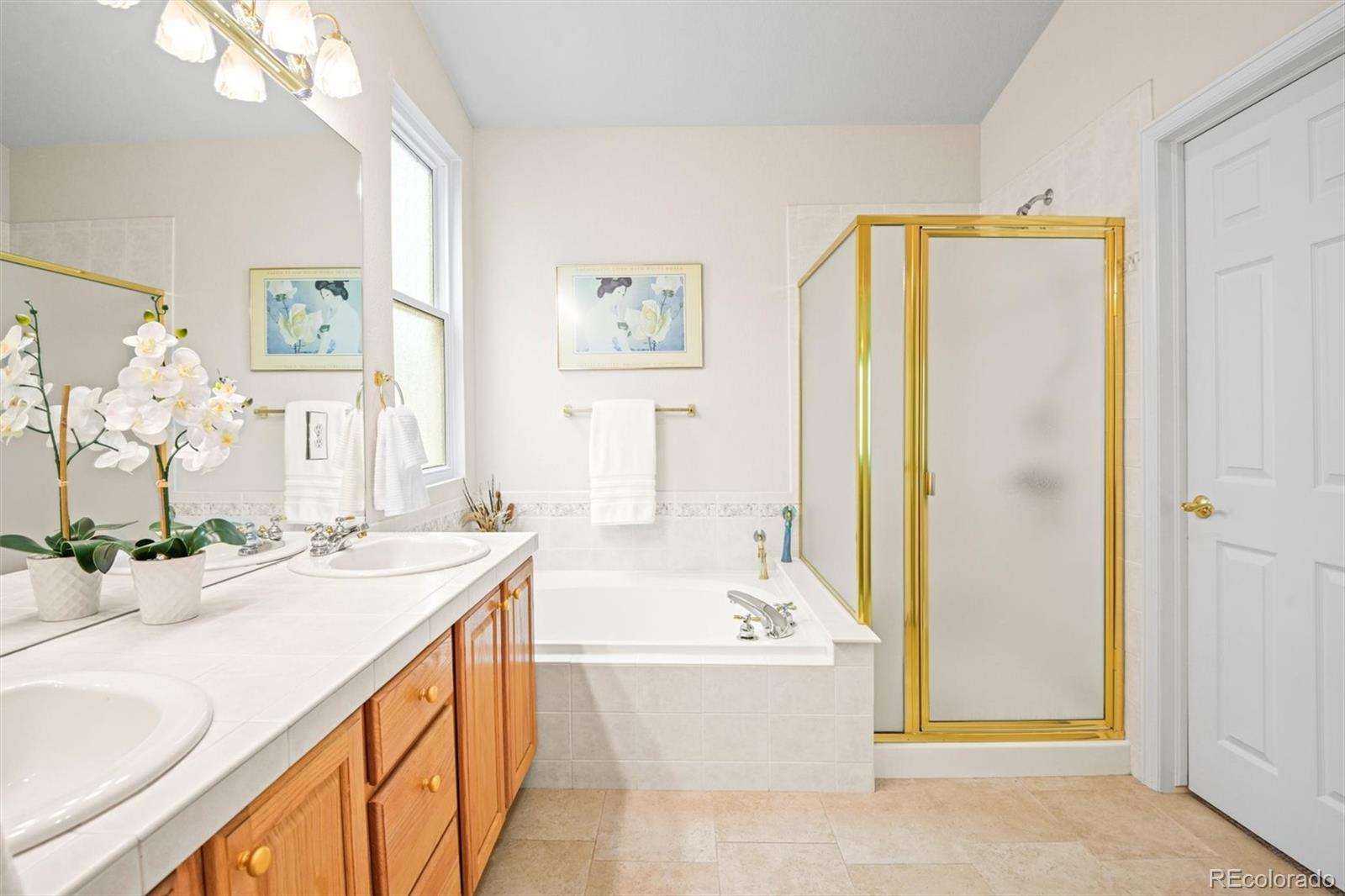 10230 Rustic Redwood Way Highlands Ranch, CO 80126 - Photo 28 of 50 a bathroom with a tub sink and mirror