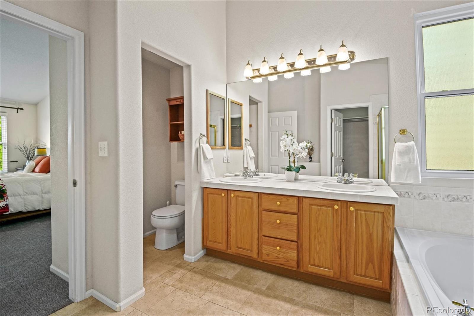 10230 Rustic Redwood Way Highlands Ranch, CO 80126 - Photo 29 of 50 a spacious bathroom with a granite countertop sink a toilet and a mirror