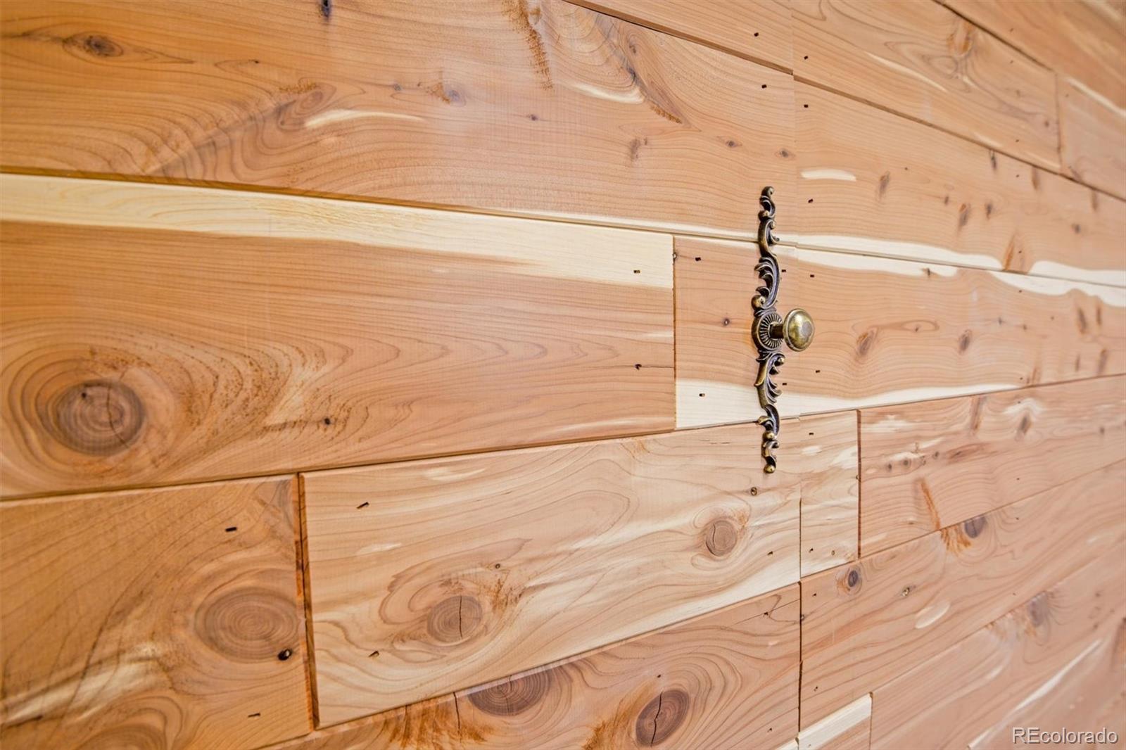 10230 Rustic Redwood Way Highlands Ranch, CO 80126 - Photo 35 of 50 a bathroom with a shower