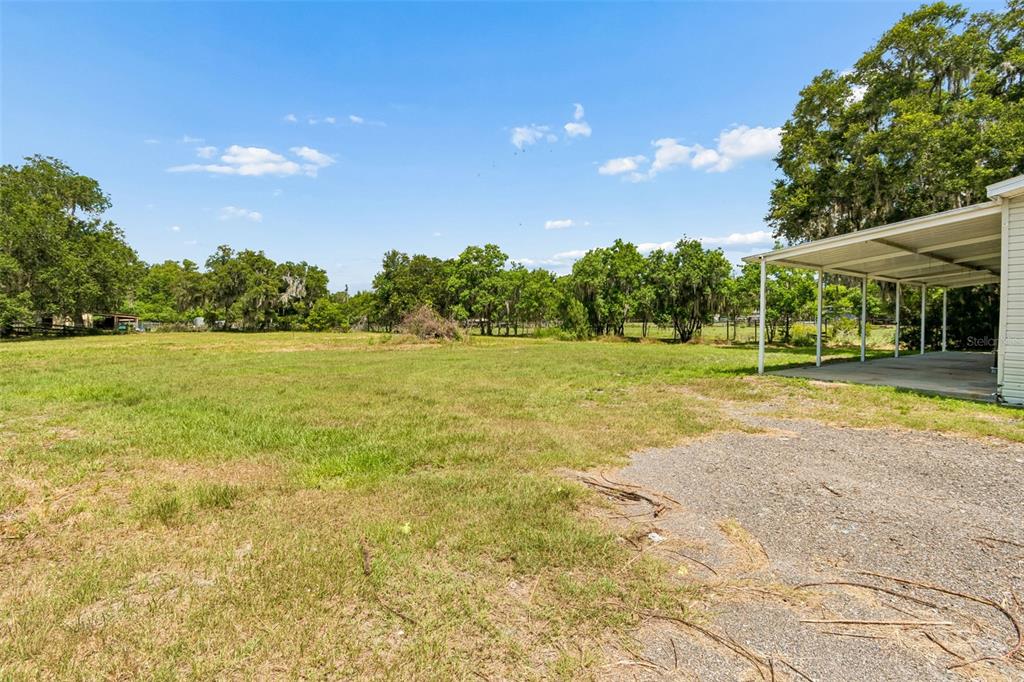 5411 Pless Road Plant City, FL 33565 - Photo 23 of 47
