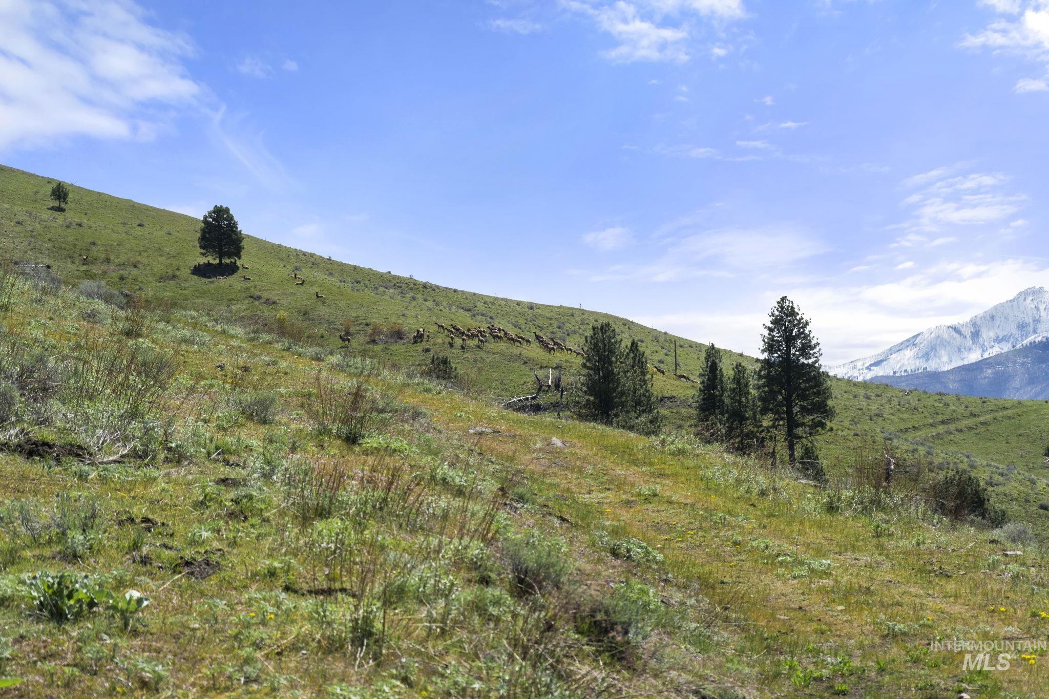 Tbd Tbd Lightning Creek Riggins, ID 83549 - Photo 10 of 29