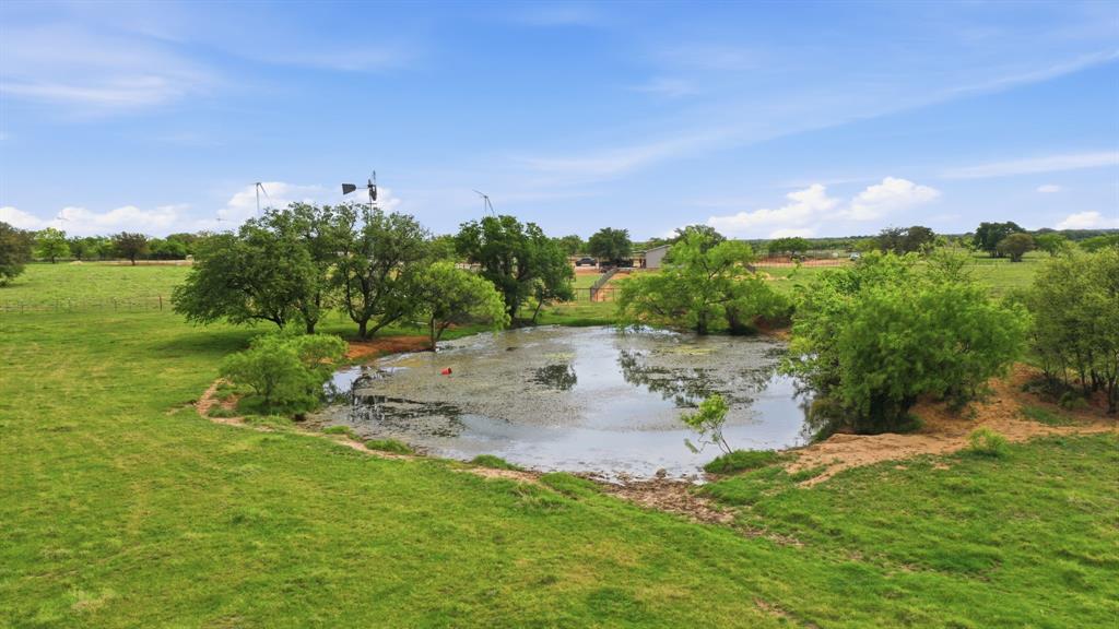 8315 County Road 403 Cisco, TX 76437 - Photo 35 of 40 a view of a garden with lawn