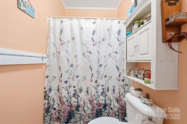 a bathroom with a toilet and a shower curtain