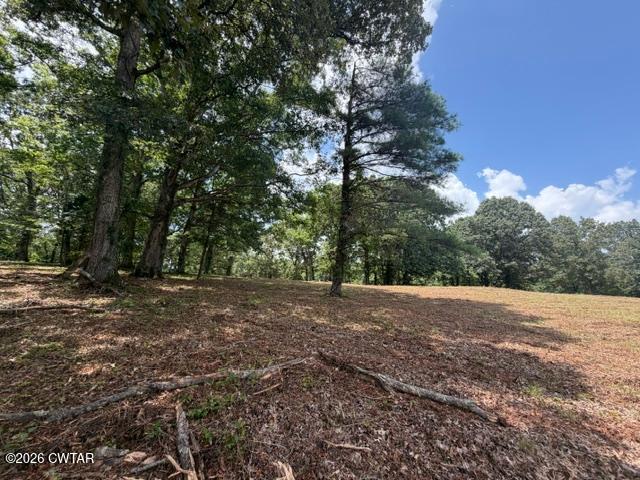 0 McBride Cemetery Road Sardis, TN 38371 - Photo 18 of 54 thumbnail (18)