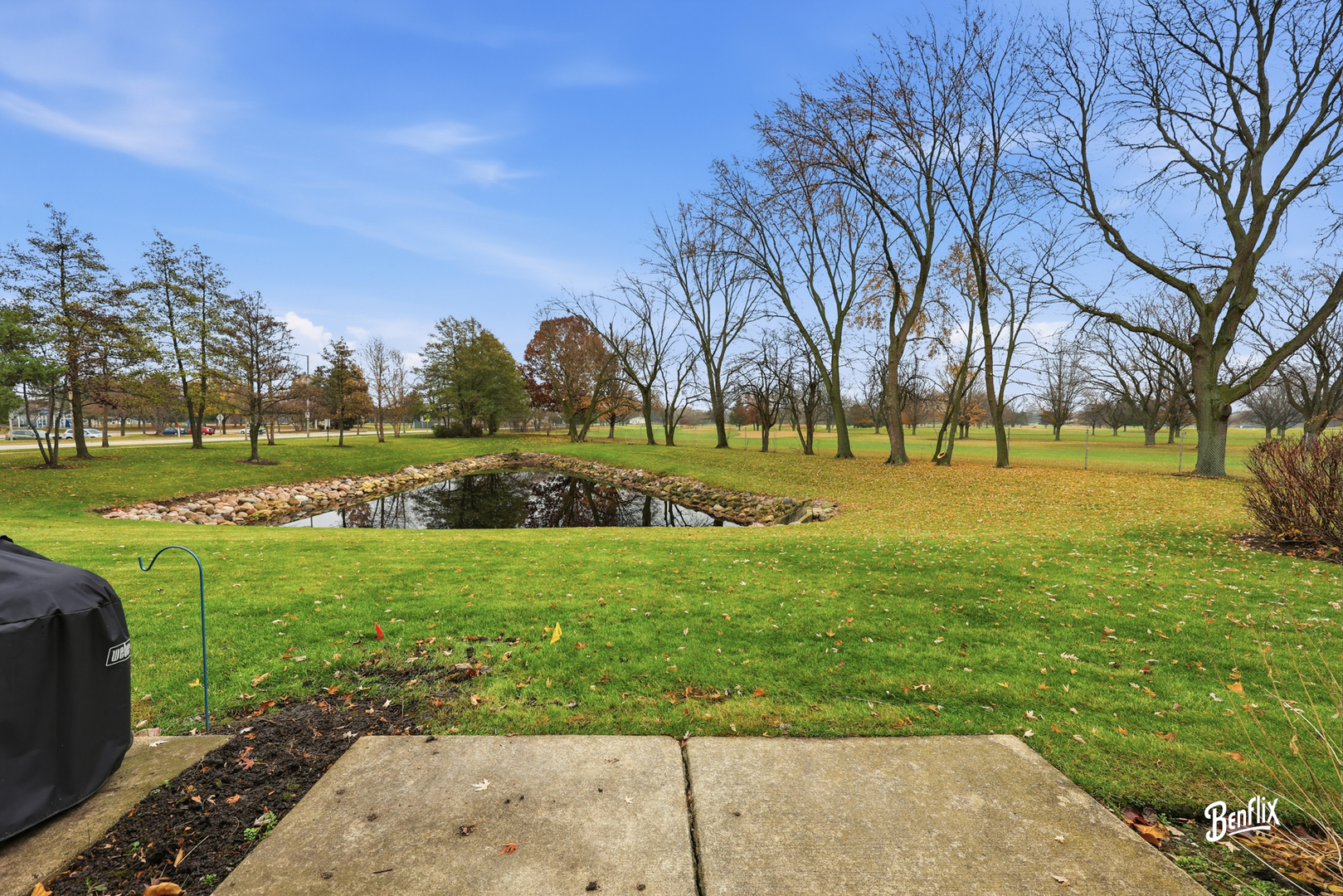 728 Old Checker Road Buffalo Grove, IL 60089 - Photo 22 of 22 a view of grassy field with trees