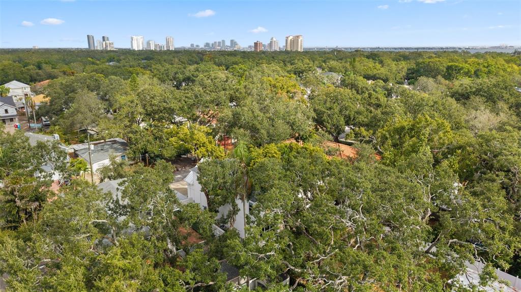 3314 West Villa Rosa Street Tampa, FL 33611 - Photo 47 of 55 a view of a city