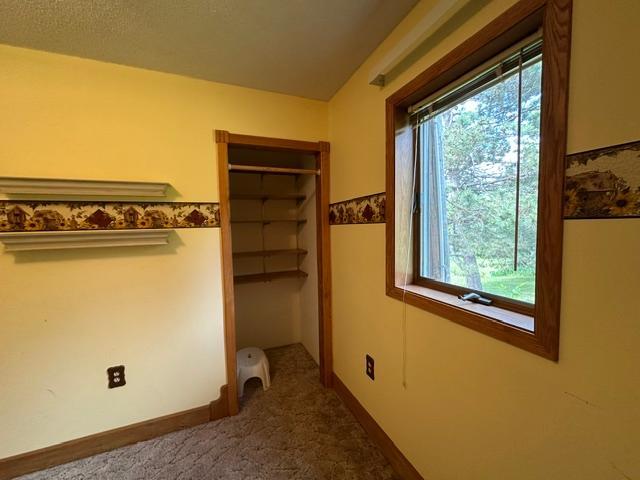 21888 Shallow Lake Road Warba, MN 55793 - Photo 16 of 44