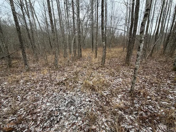 $450,000 | 5441 White Oak Road, Duff, TN 37729