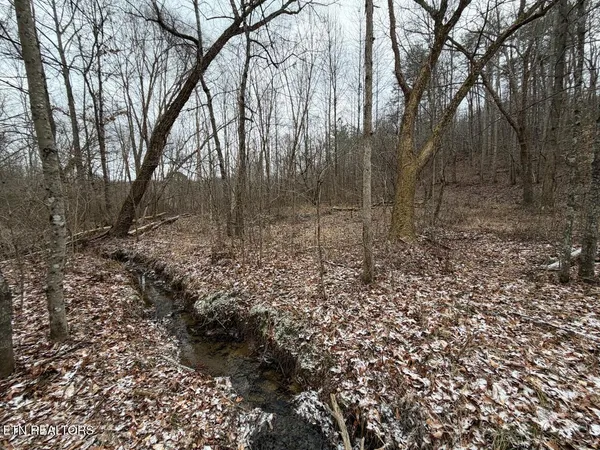 $450,000 | 5441 White Oak Road, Duff, TN 37729