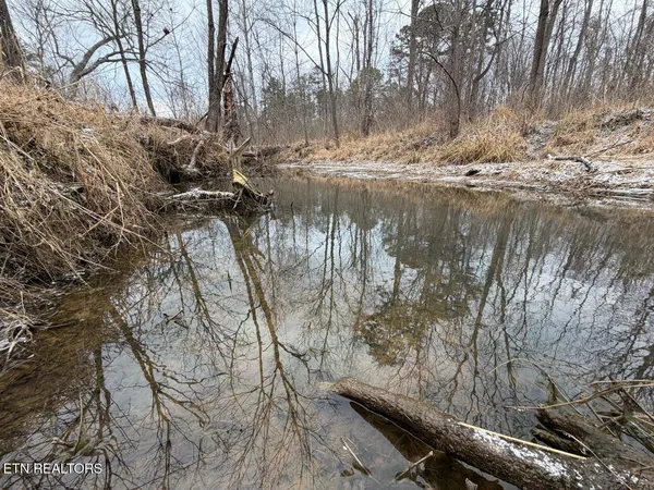 $450,000 | 5441 White Oak Road, Duff, TN 37729