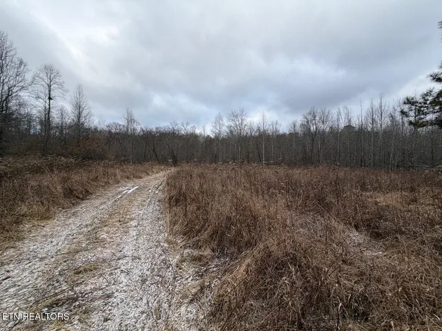 $450,000 | 5441 White Oak Road, Duff, TN 37729