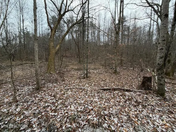 $450,000 | 5441 White Oak Road, Duff, TN 37729