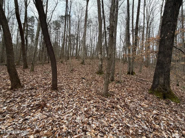 $450,000 | 5441 White Oak Road, Duff, TN 37729