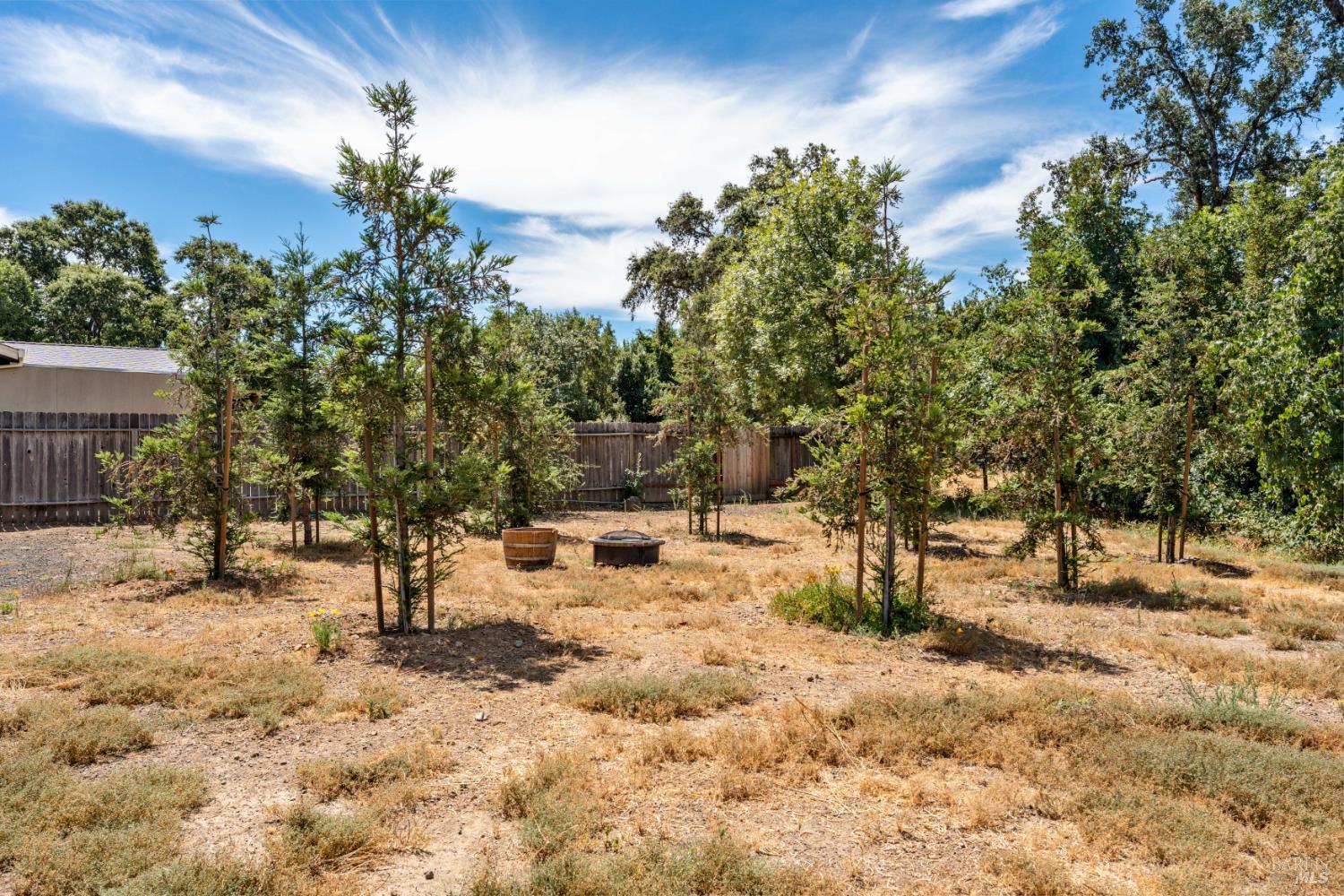 8960 East Road Redwood Valley, CA 95470 - Photo 32 of 37 Mini Redwood Grove