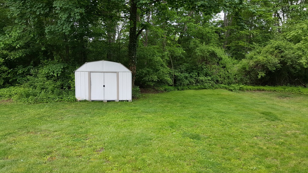 165 Maple Street, Unit 165 Needham, MA 02492 - Photo 3 of 6 Gallery Image 3