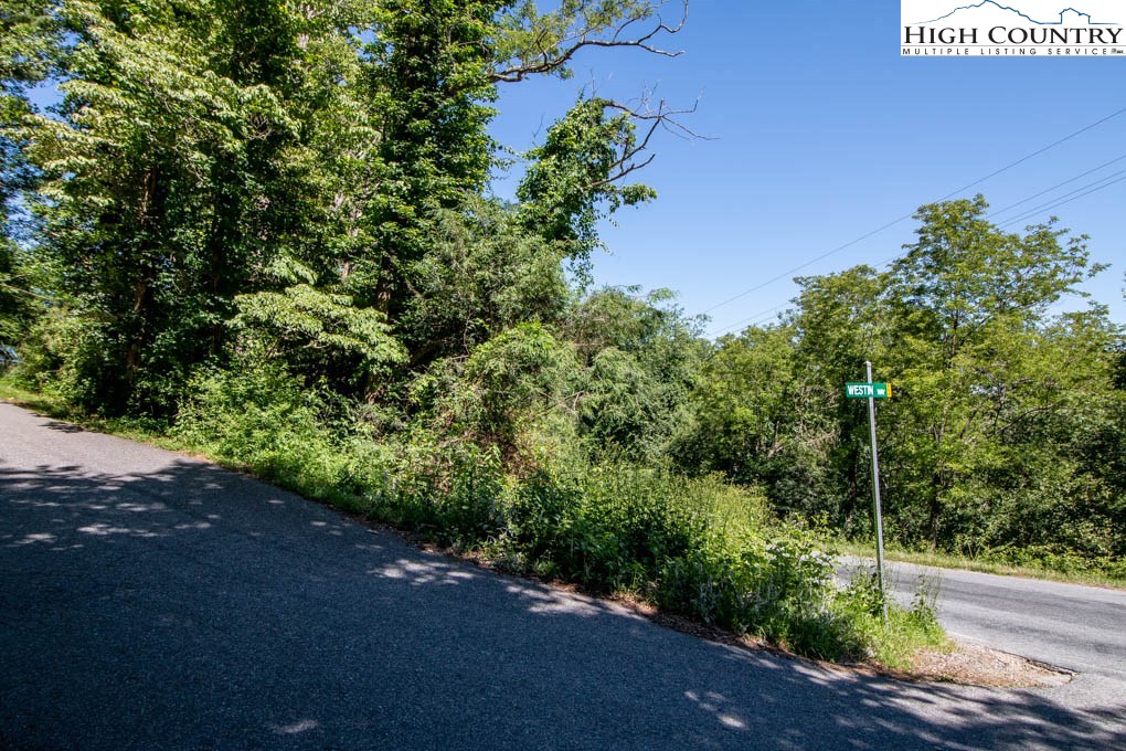 Westin Way Boone, NC 28607 - Photo 3 of 5 Gallery Image 3