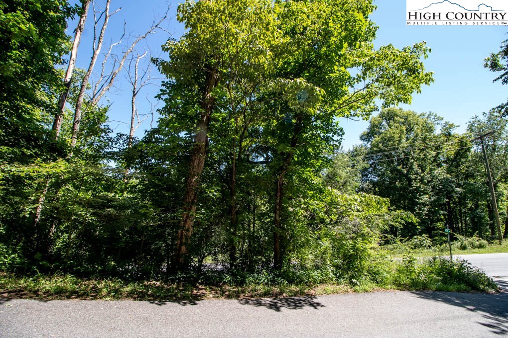 Westin Way Boone, NC 28607 - Photo 4 of 5 Gallery Image 4