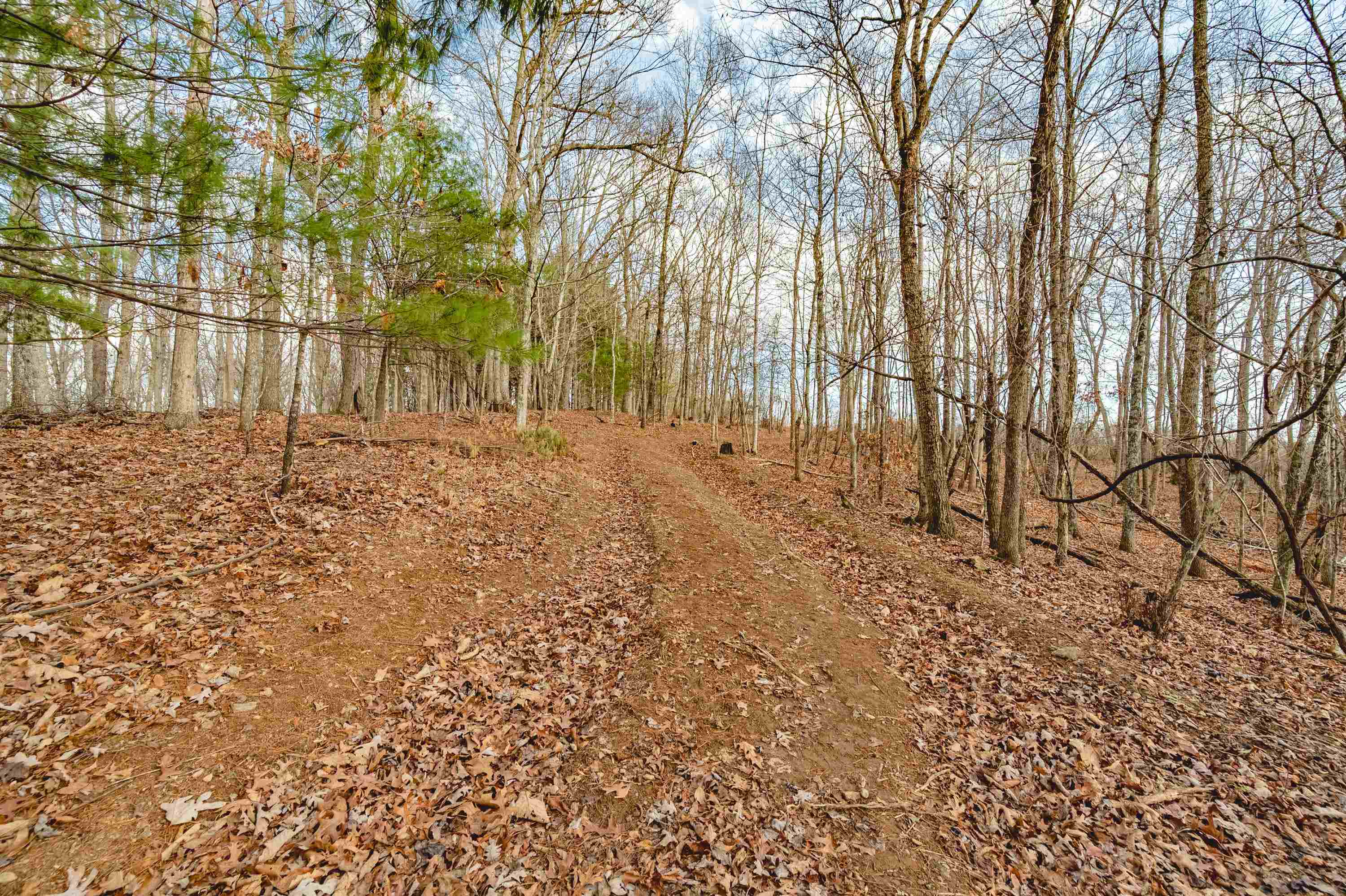 Tbd Spangler Mill Road Northeast Floyd, VA 24091 - Photo 27 of 44 Gallery Image 27