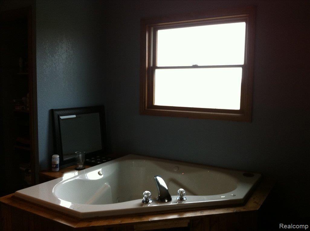 6825 Mertz Road Mayville, MI 48744 - Photo 6 of 18 Jetted tub in Master bath