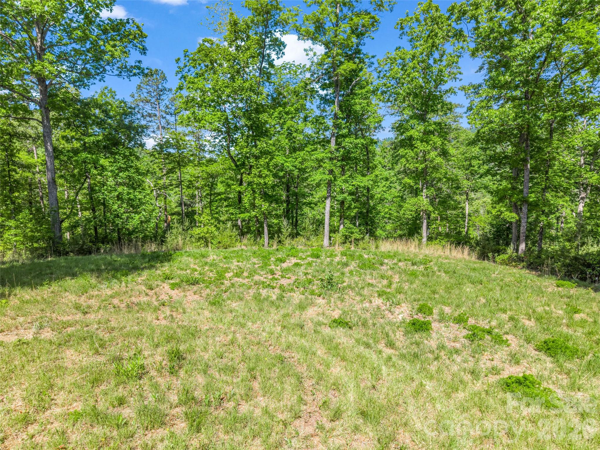 400 Calhoun Trail Rutherfordton, NC 28139 - Photo 47 of 48