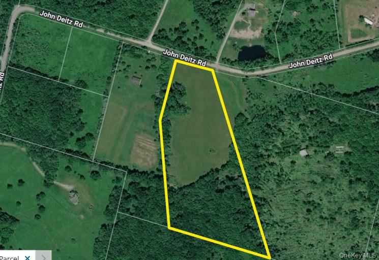 Dietz Road Callicoon Center, NY 12724 - Photo 4 of 24 Tax Map