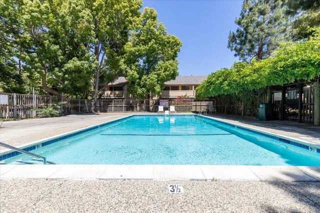 a view of a park with plants and trees
