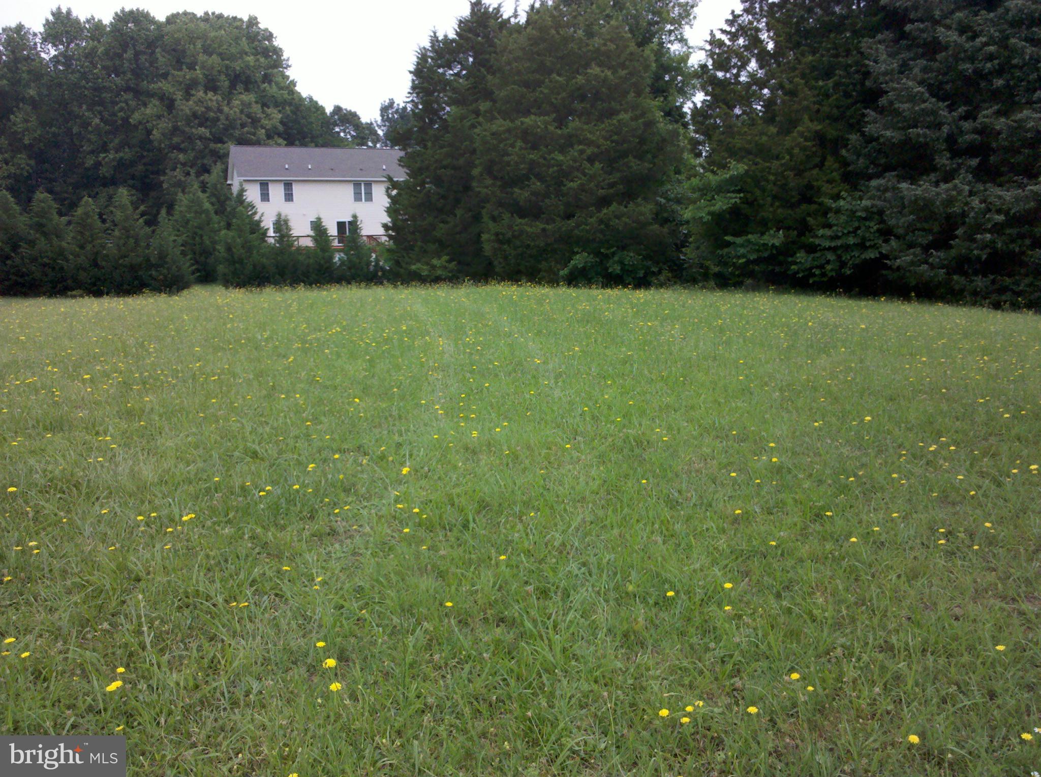 0 Burruss Mill Road Bumpass, VA 23024 - Photo 2 of 20 Back View