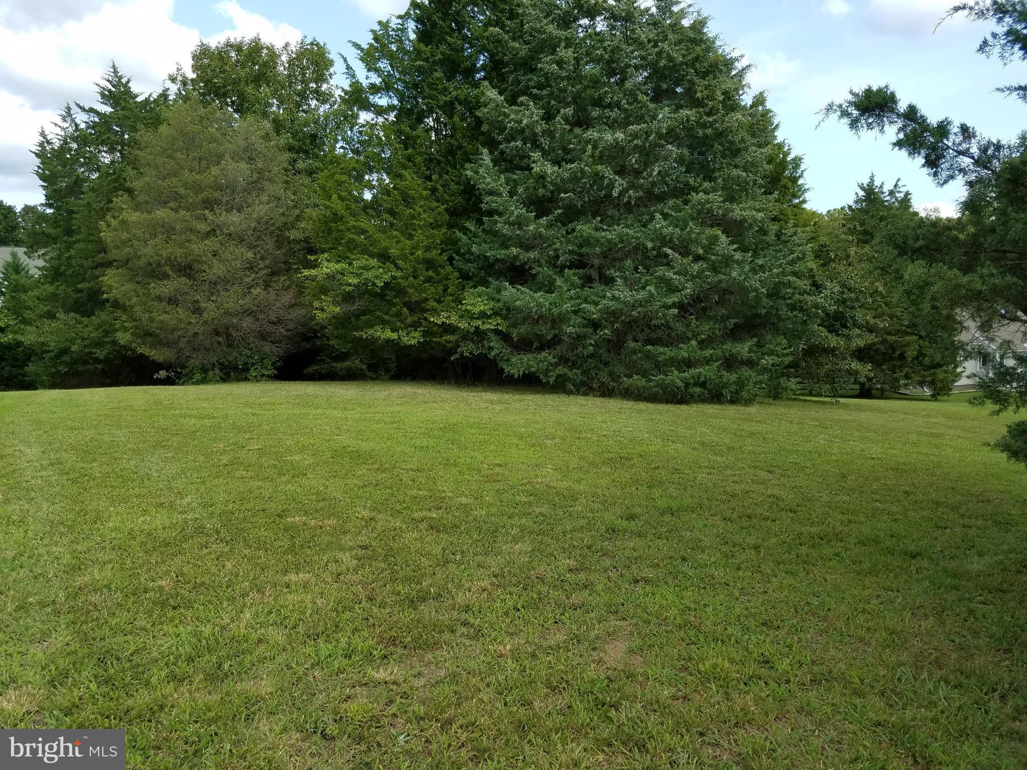 0 Burruss Mill Road Bumpass, VA 23024 - Photo 12 of 20 View