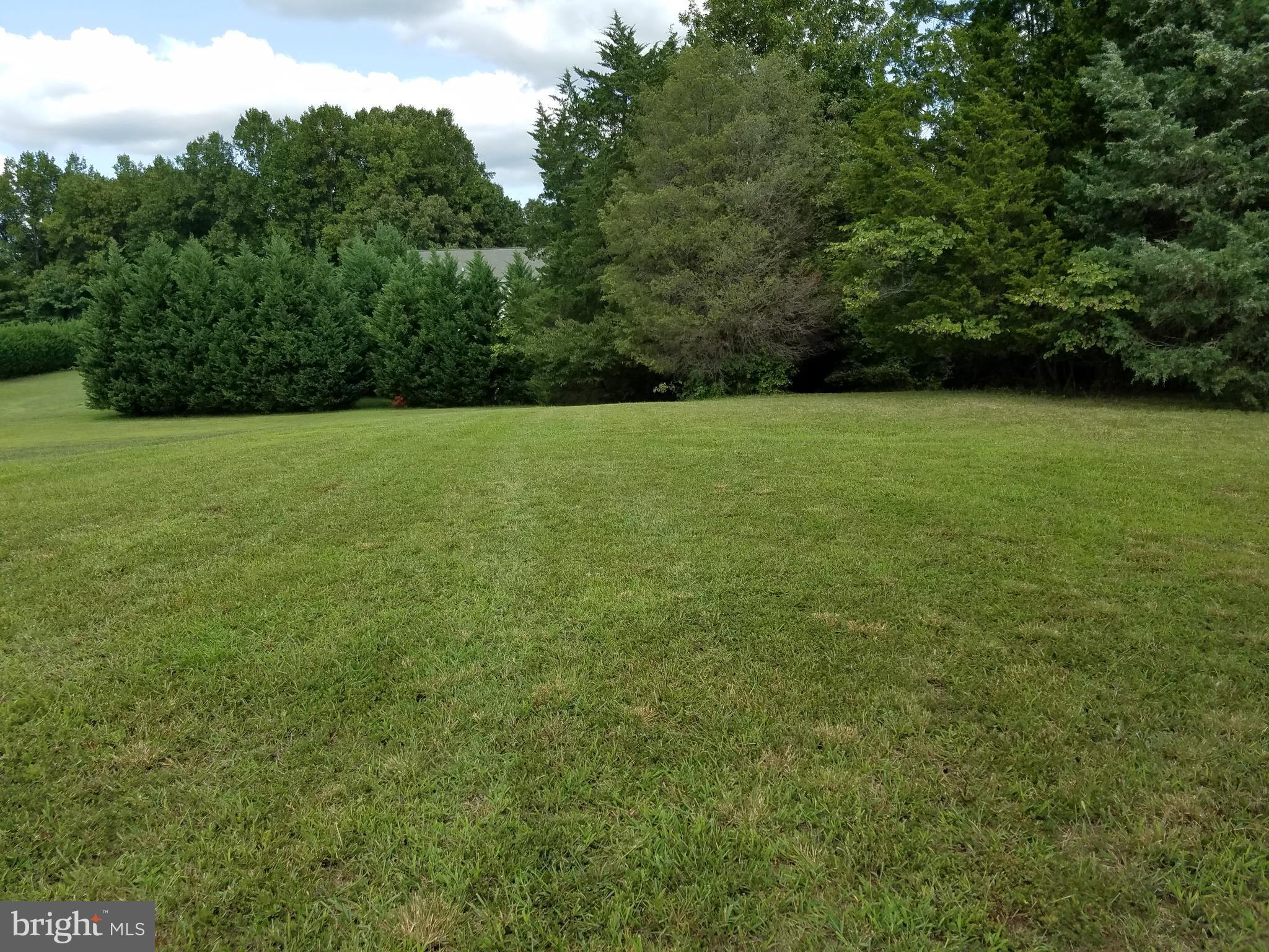 0 Burruss Mill Road Bumpass, VA 23024 - Photo 13 of 20 View