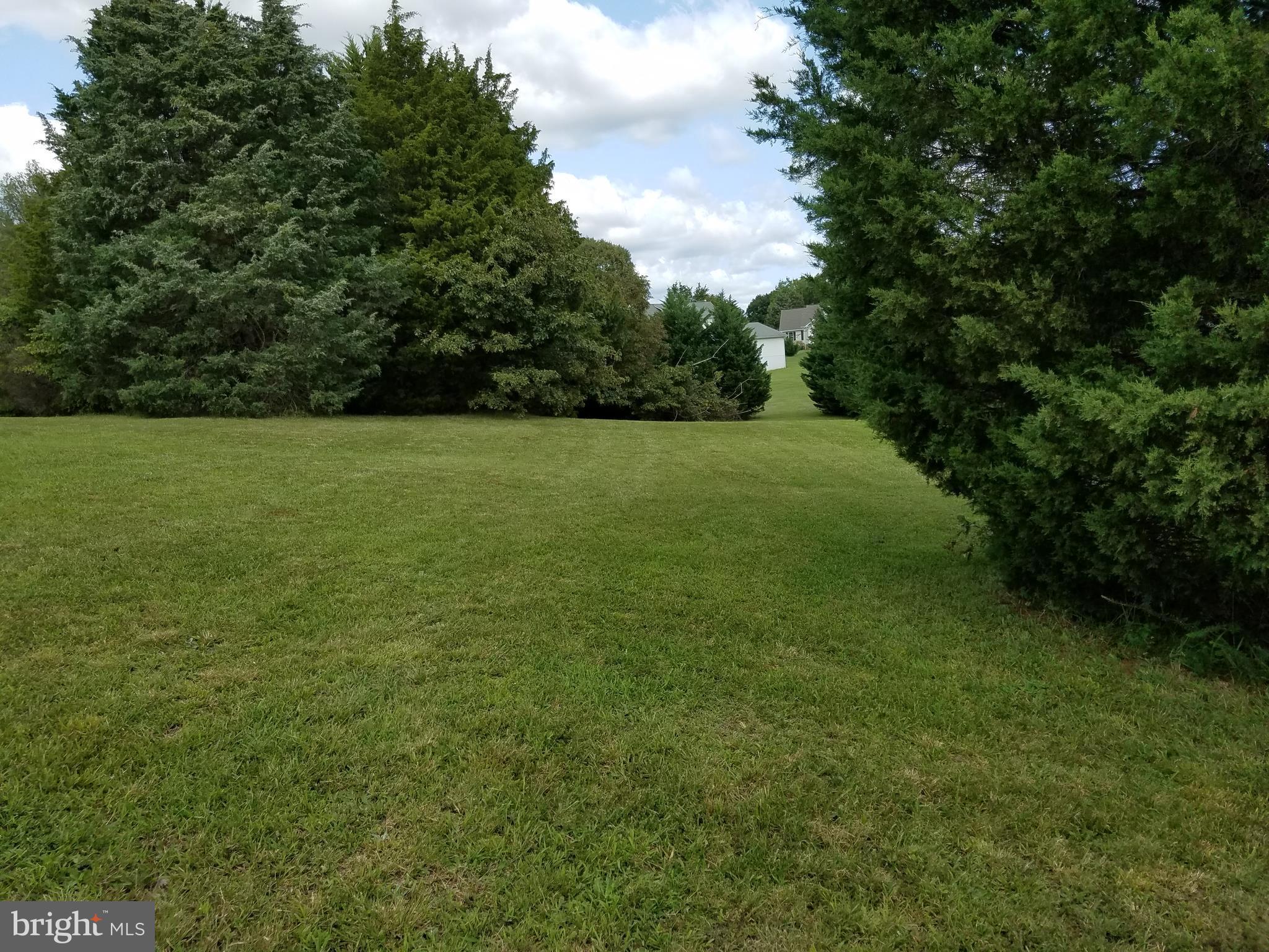 0 Burruss Mill Road Bumpass, VA 23024 - Photo 17 of 20 View