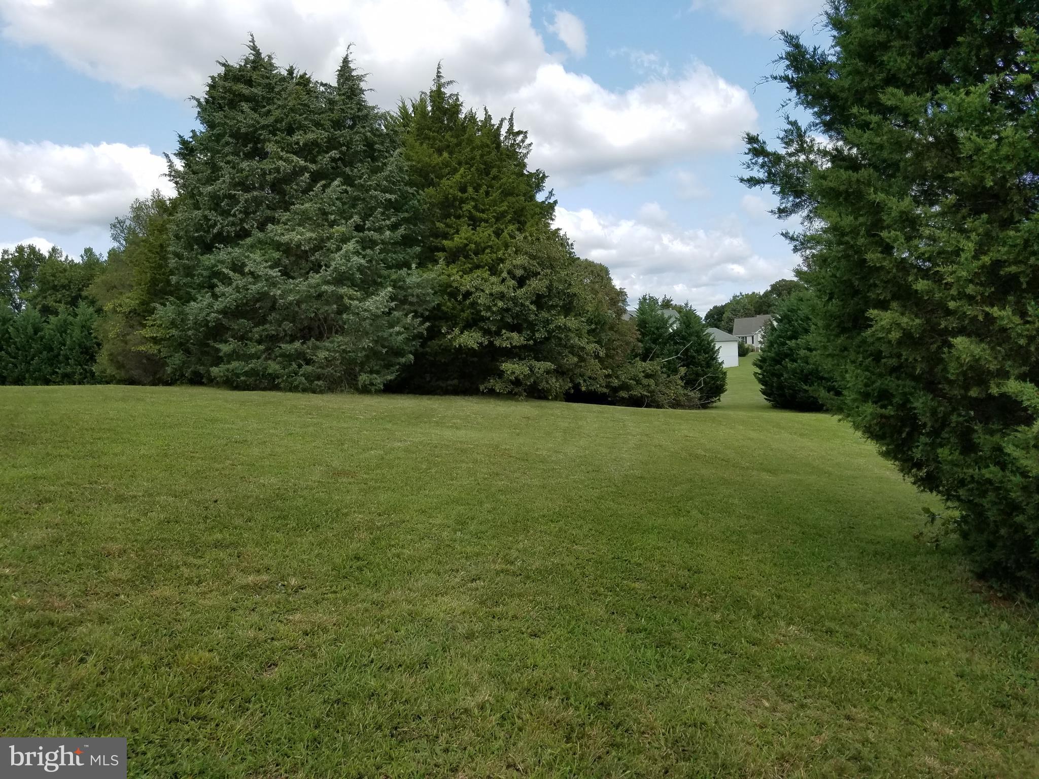 0 Burruss Mill Road Bumpass, VA 23024 - Photo 18 of 20 View
